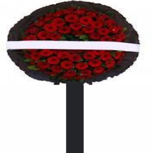  Marmaris Çiçek Gönder - Beyaz Gerbera Cenaze Çelengi